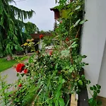 Amrusch Apartment