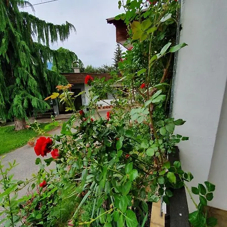 Amrusch Apartment
